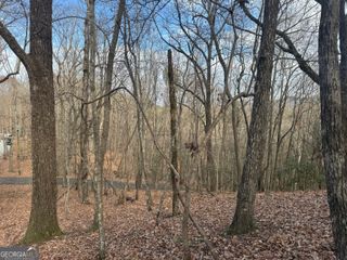 LOTS 47 AND 50 Geneva Place, Sautee Nacoochee, GA 30571