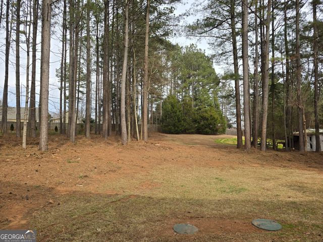 4317 Caney Fork Circle, Braselton, GA 30517