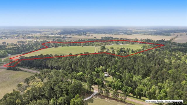 689 & 691 FM 1272, Grapeland, TX 75844