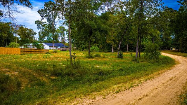TBD Forest Drive, Livingston, TX 77351
