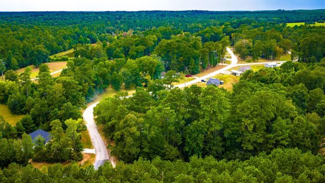 TBD Forest Drive, Livingston, TX 77351