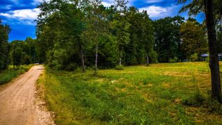 TBD Forest Drive, Livingston, TX 77351