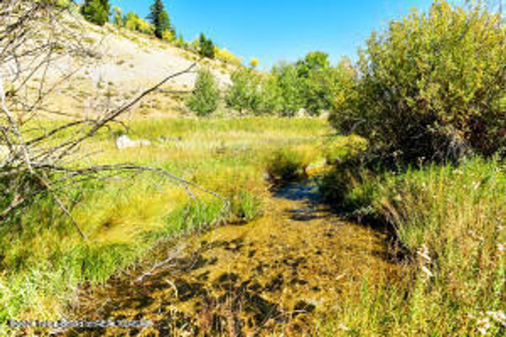 6000 HECK OF A HILL ROAD, Wilson, WY 83014 photo 20