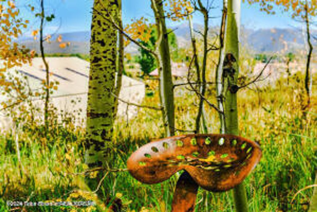 6000 HECK OF A HILL ROAD, Wilson, WY 83014 photo 21