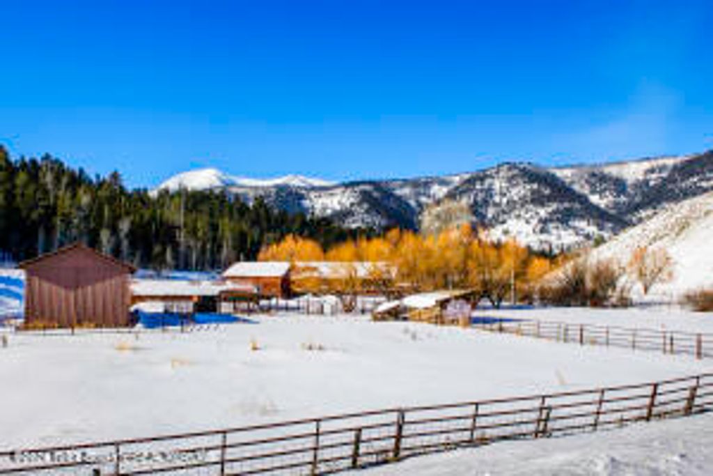 6000 HECK OF A HILL ROAD, Wilson, WY 83014 photo 24