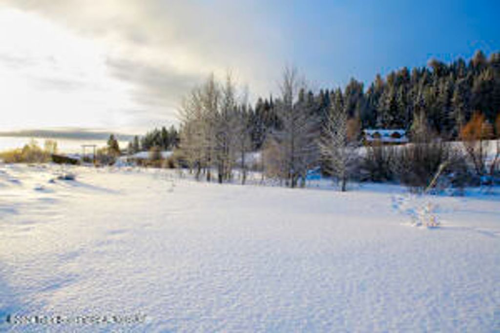 6000 HECK OF A HILL ROAD, Wilson, WY 83014 photo 29