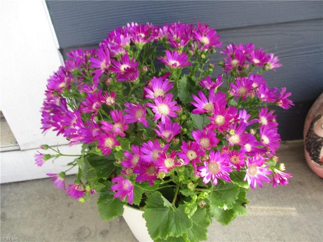 157 Hall Avenue AVE, Suffolk, VA 23434