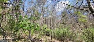 VACANT LAND CABIN BRANCH ROAD, Marshall, VA 20115