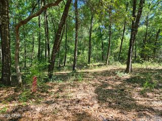 0000 Dove Court, Chipley, FL 32428