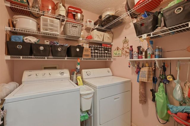 2425 HAWK GRIFFIN ROAD, Plant City, FL 33565