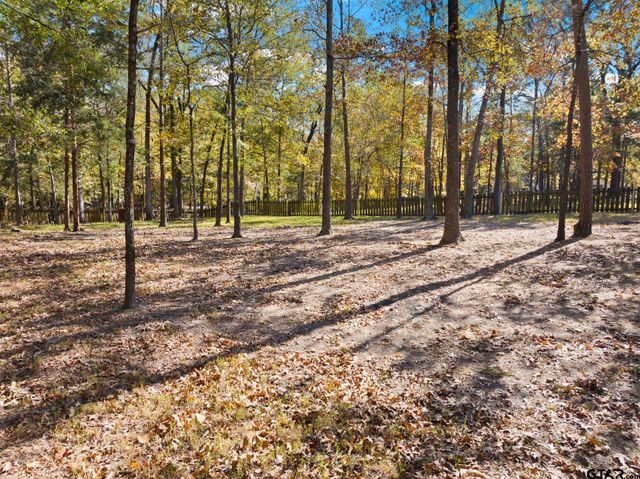 153 County Road 2433, Pittsburg, TX 75686