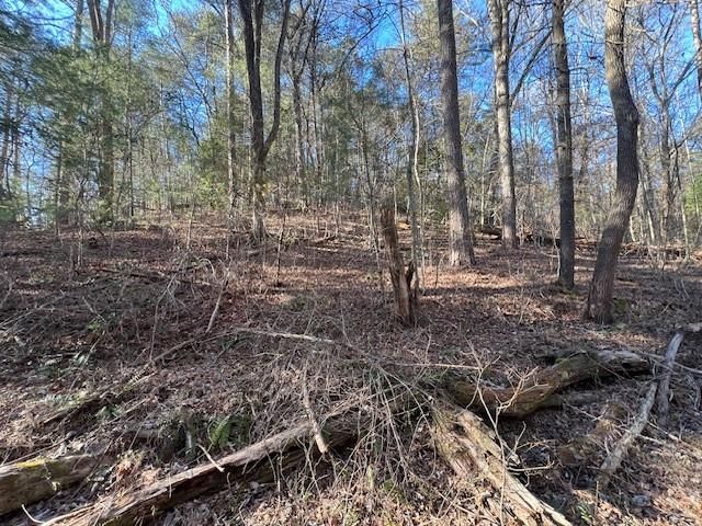 2 Old Miller Rock Road, Ellijay, GA 30540