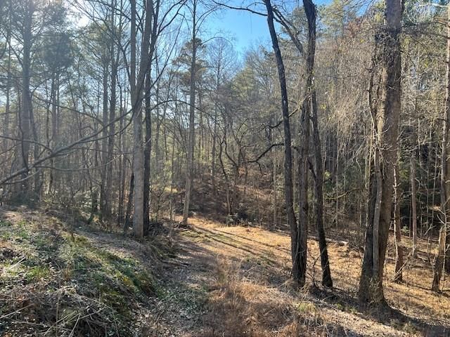 2 Old Miller Rock Road, Ellijay, GA 30540