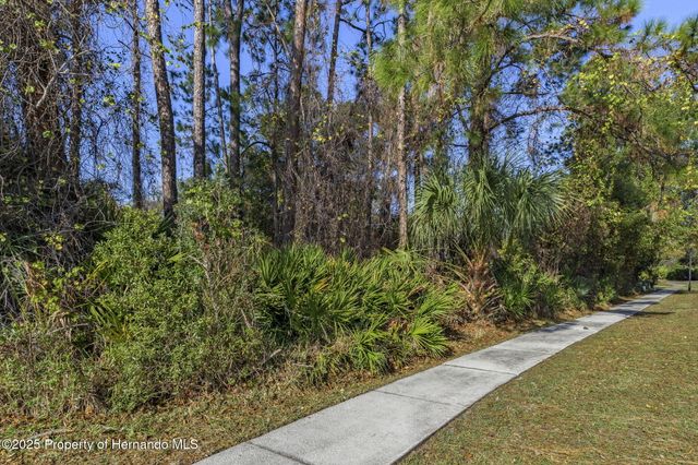 0 & 7268 Crystal Spring Run, Weeki Wachee, FL 34607