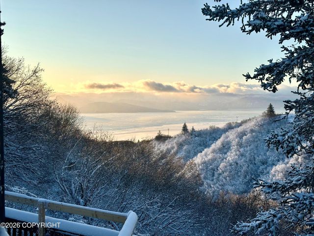 52817 Old East End Road, Homer, AK 99603