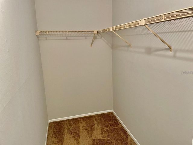 3944 TUMBLE WOOD TRAIL 101, Tampa, FL 33613