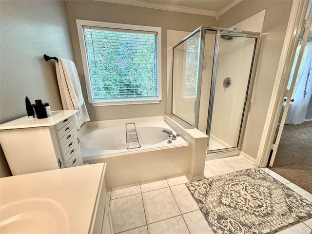 195 Blushwood Place, The Woodlands, TX 77382