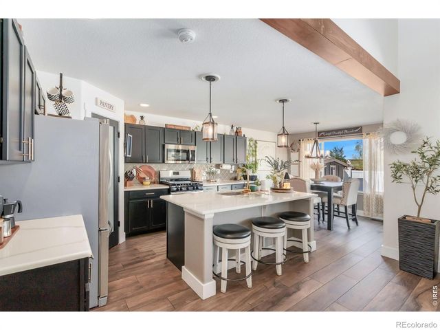 938 Scotch Pine Drive, Severance, CO 80550