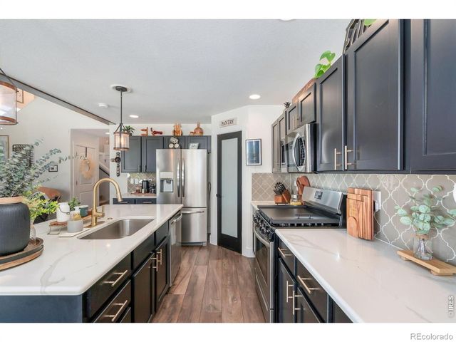 938 Scotch Pine Drive, Severance, CO 80550