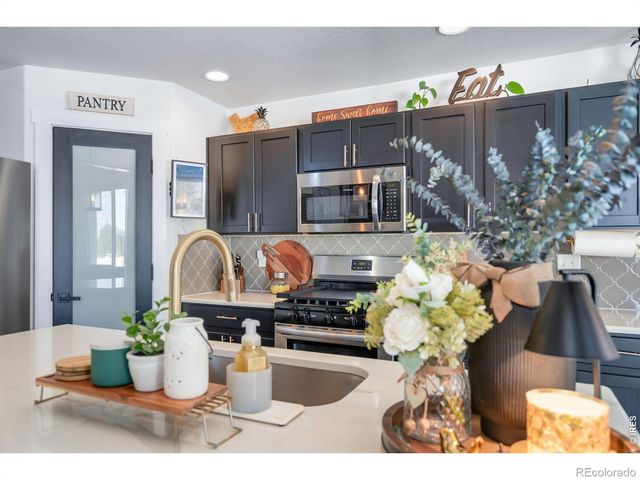 938 Scotch Pine Drive, Severance, CO 80550