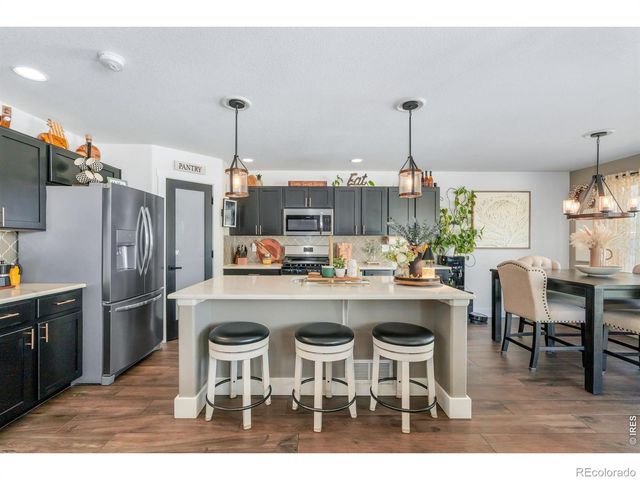 938 Scotch Pine Drive, Severance, CO 80550