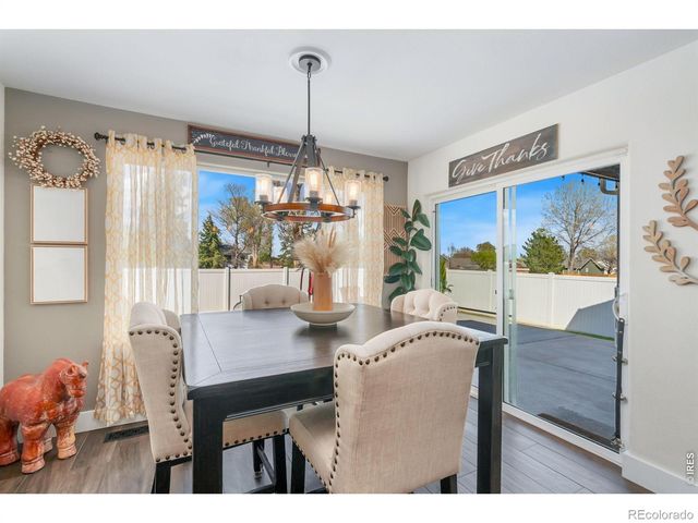 938 Scotch Pine Drive, Severance, CO 80550