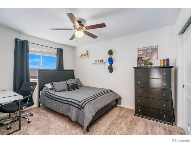 938 Scotch Pine Drive, Severance, CO 80550