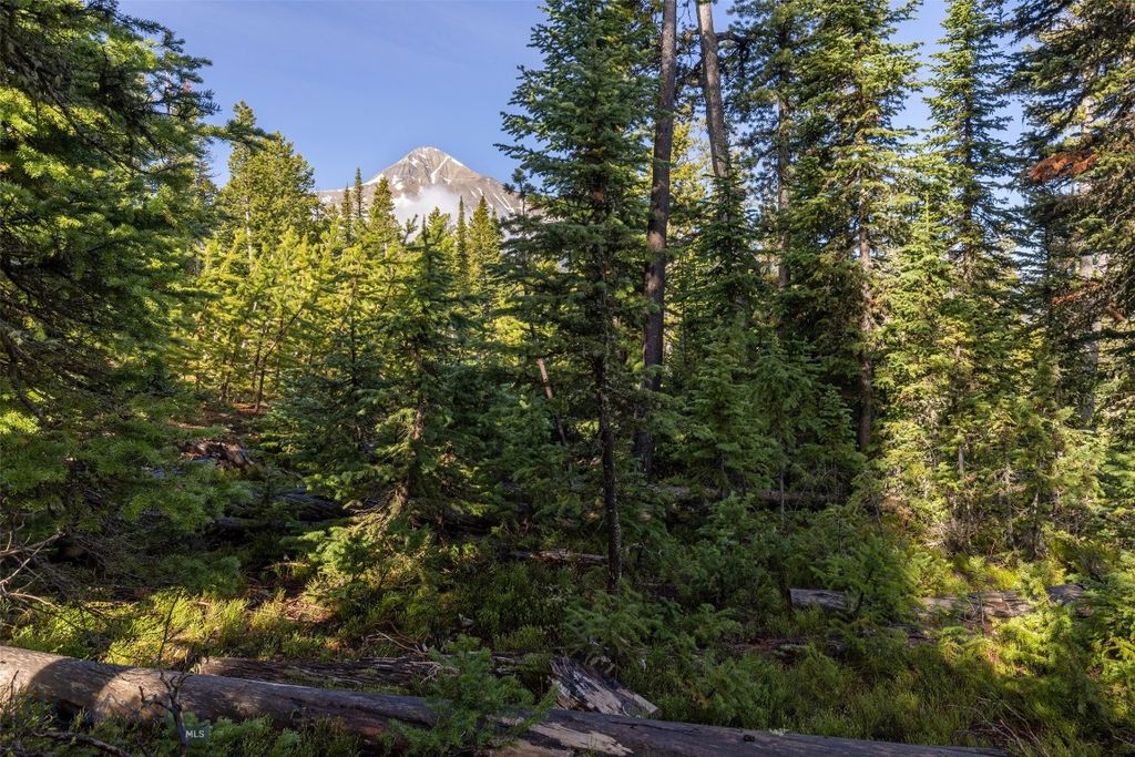 TBD White Butte Road, Big Sky, MT 59716 photo 3