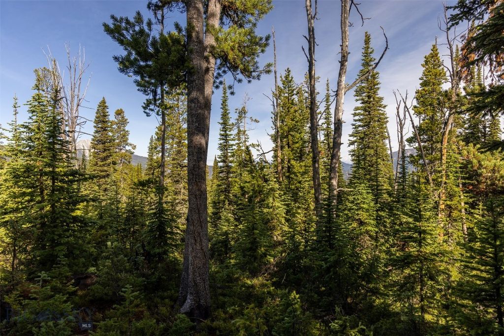 TBD White Butte Road, Big Sky, MT 59716 photo 4