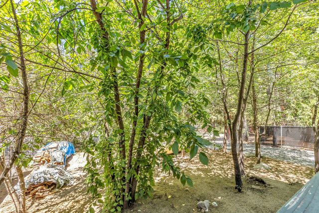 54915 S Circle Drive, Idyllwild, CA 92549