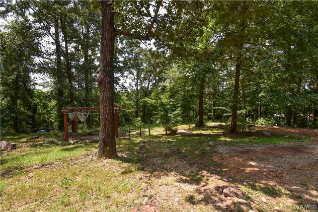 11322 Hen Smith, Vance, AL 35490