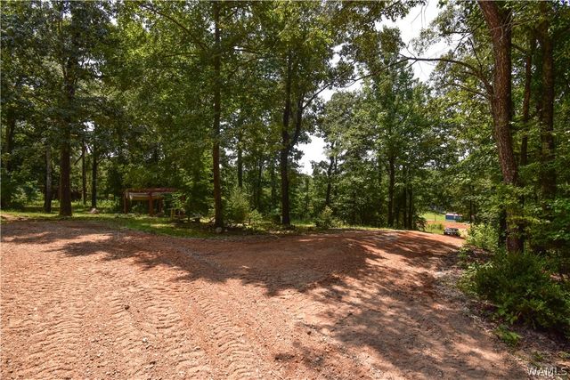11322 Hen Smith, Vance, AL 35490