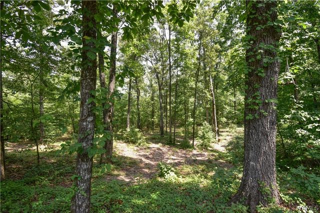 11322 Hen Smith, Vance, AL 35490