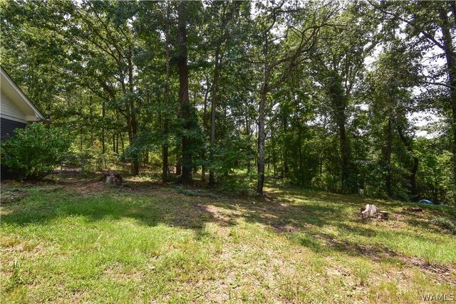 11322 Hen Smith, Vance, AL 35490
