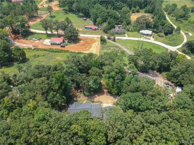 11322 Hen Smith, Vance, AL 35490