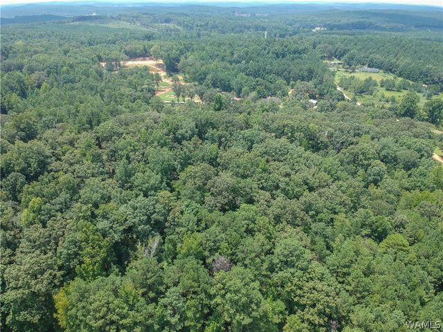 11322 Hen Smith, Vance, AL 35490