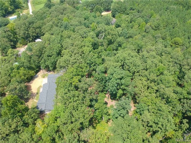 11322 Hen Smith, Vance, AL 35490