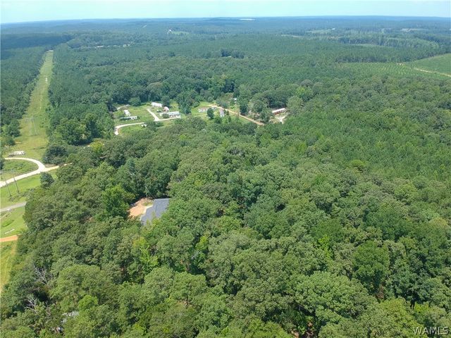 11322 Hen Smith, Vance, AL 35490