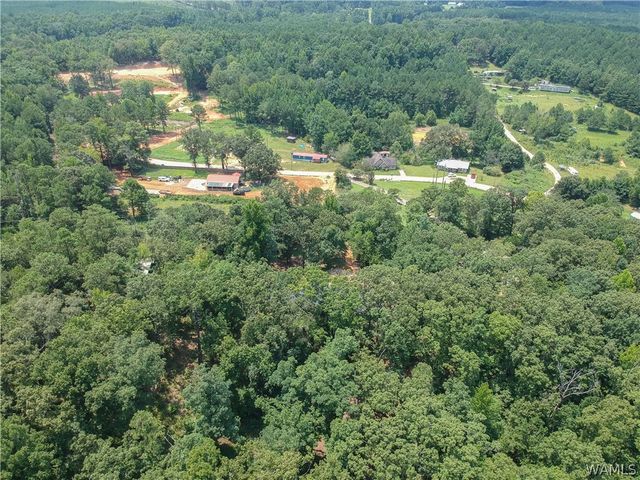 11322 Hen Smith, Vance, AL 35490