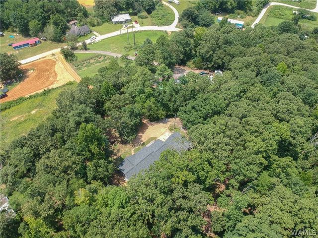 11322 Hen Smith, Vance, AL 35490