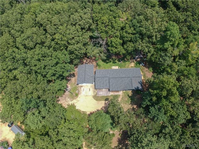 11322 Hen Smith, Vance, AL 35490
