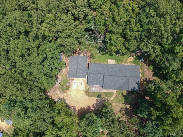 11322 Hen Smith, Vance, AL 35490