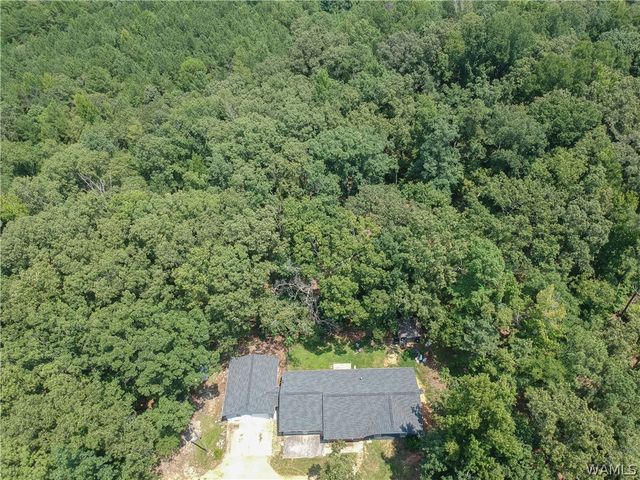 11322 Hen Smith, Vance, AL 35490