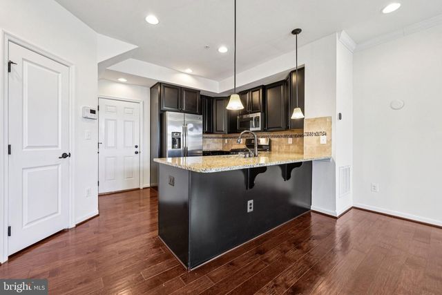 26052 BRAIDED MANE TER, Aldie, VA 20105