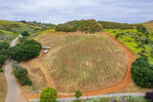 5320 Olive Hill Trl, Bonsall, CA 92003