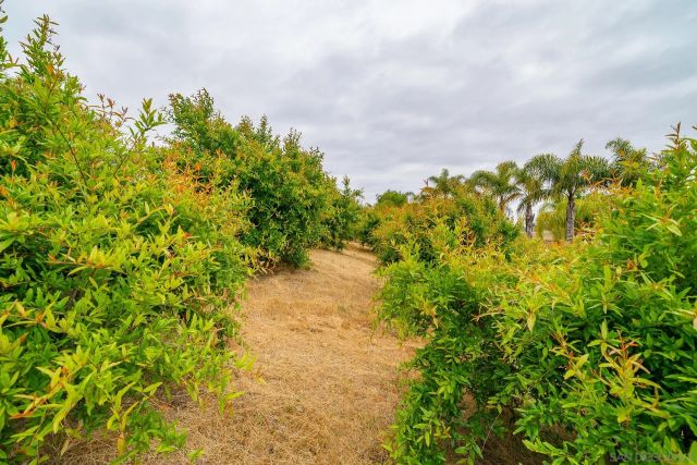 5320 Olive Hill Trl, Bonsall, CA 92003