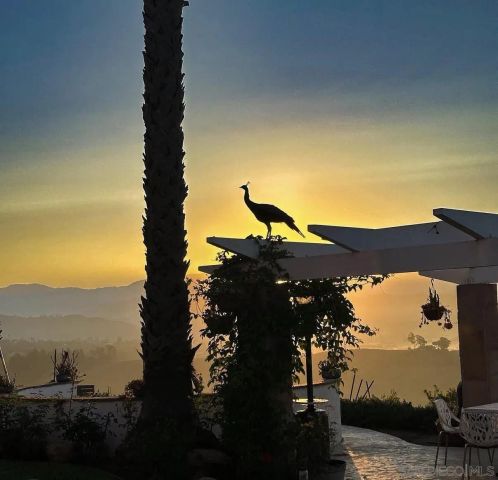 5320 Olive Hill Trl, Bonsall, CA 92003