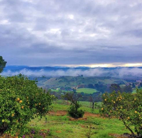 5320 Olive Hill Trl, Bonsall, CA 92003