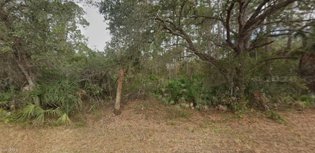 2004 WELLS AVE, ALVA, FL 33920 — photo 4