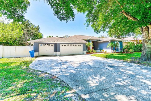 8524 BETH COURT, Odessa, FL 33556